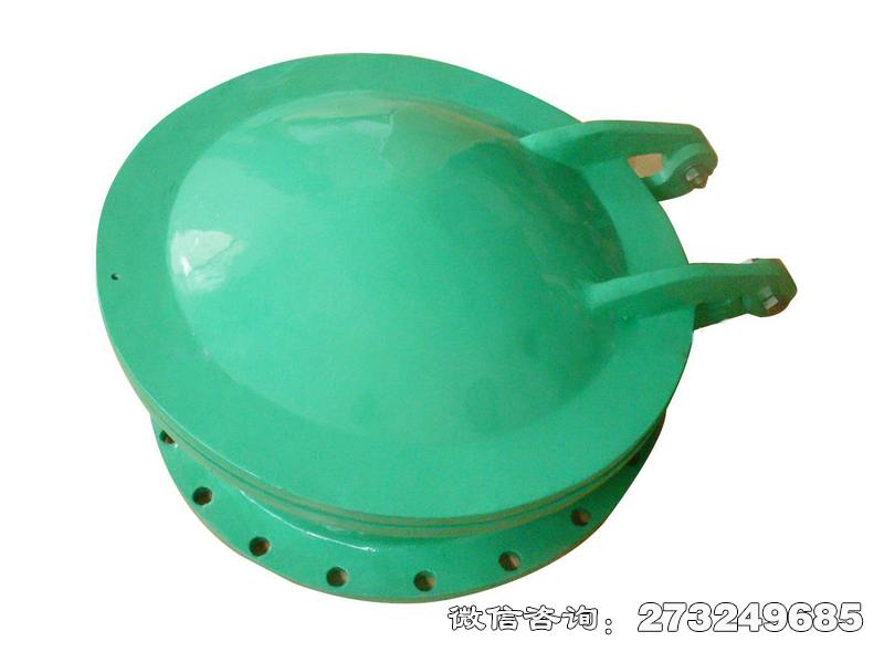 托克托县耐腐蚀管道玻璃钢拍门
