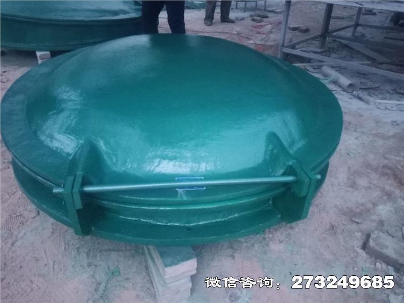 托克托县轻质玻璃钢拍门