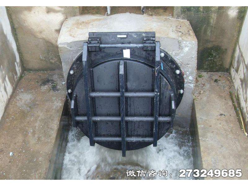 托克托县钢制水渠拍门