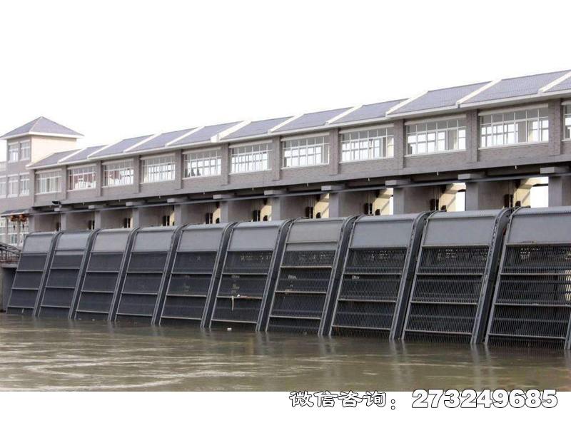 邳州电厂拦污栅条清污机